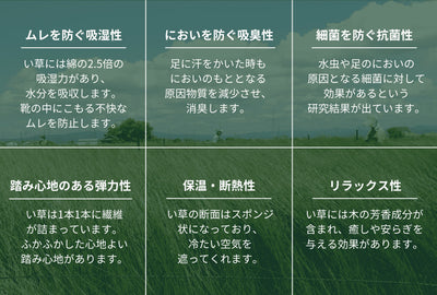 ＜リベラート＞4Way畳ローファ― メンズ/ブラック